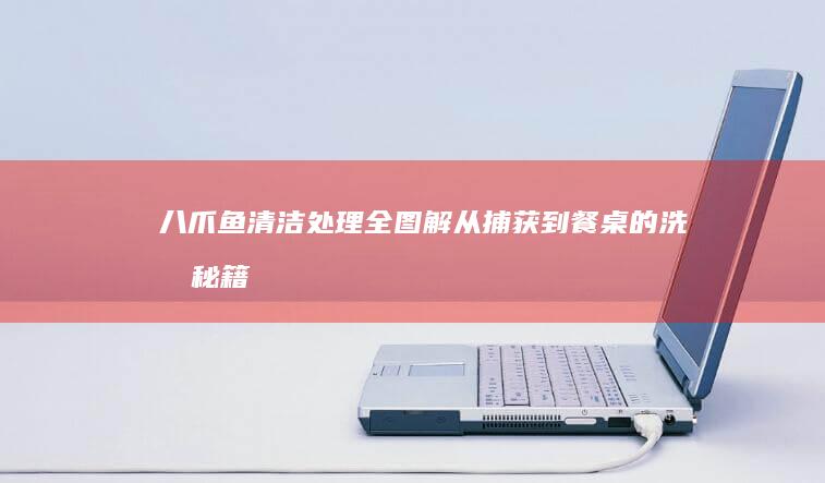 八爪鱼清洁处理全图解：从捕获到餐桌的洗净秘籍